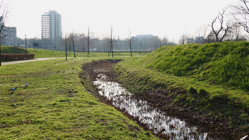 De bufferzone voor het regenwater bij de Silvertoptorens