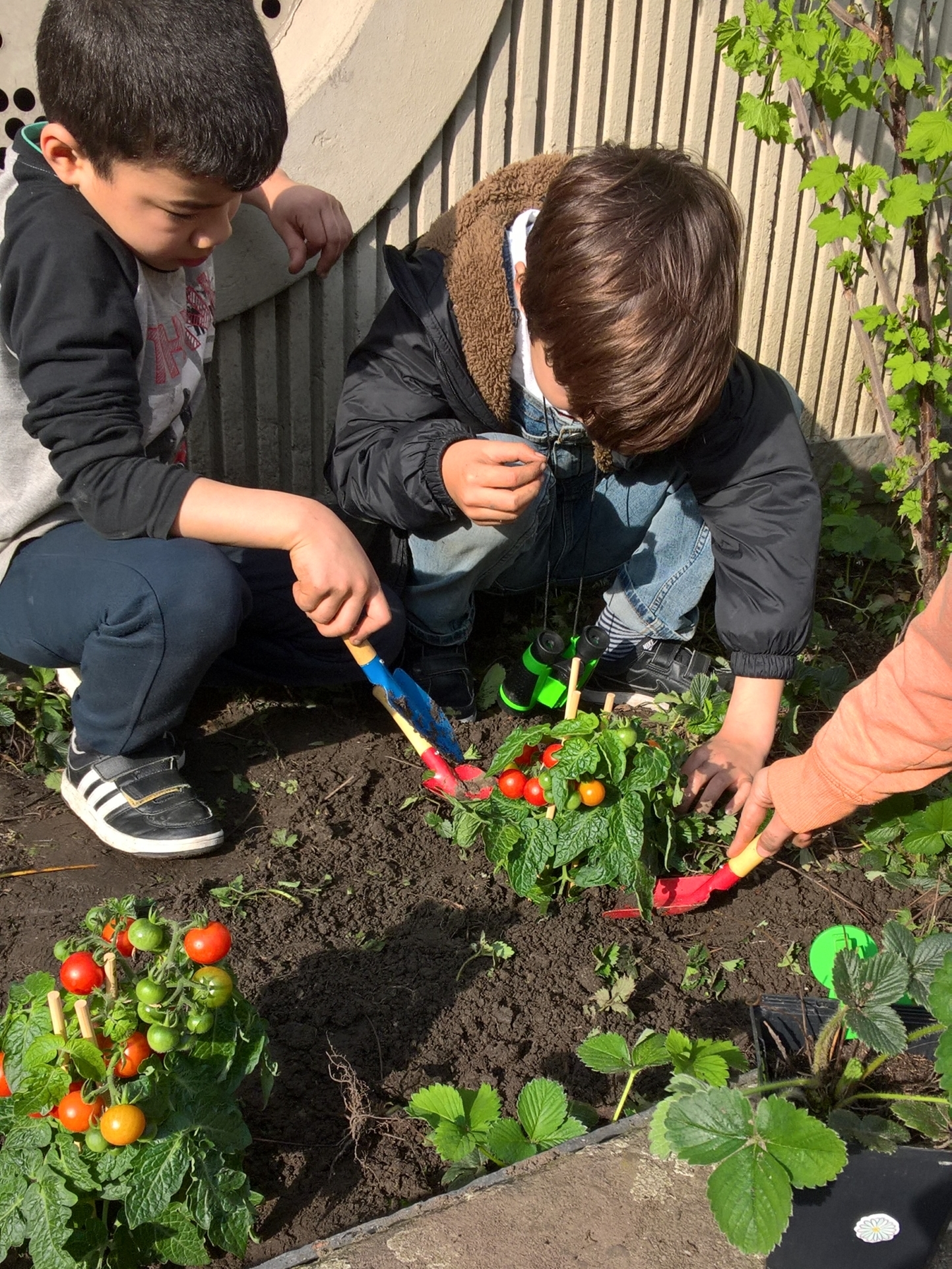 kinderen planten plantjes