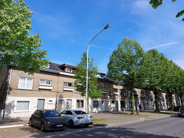 Berchemlei