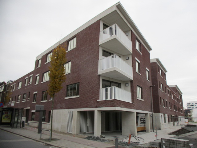 Schaapskooi