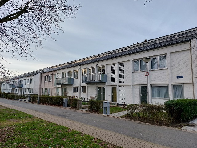 Primulalei