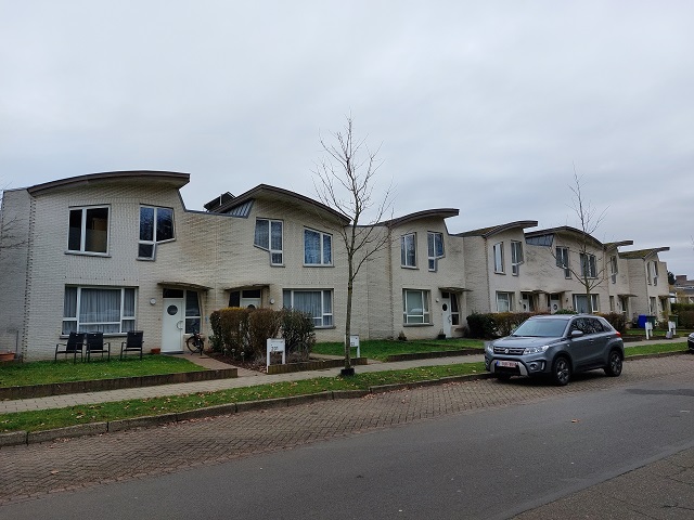 Rooiboslaan